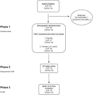 Cognitive functioning and clinical characteristics of children with non-syndromic orofacial clefts: A case-control study